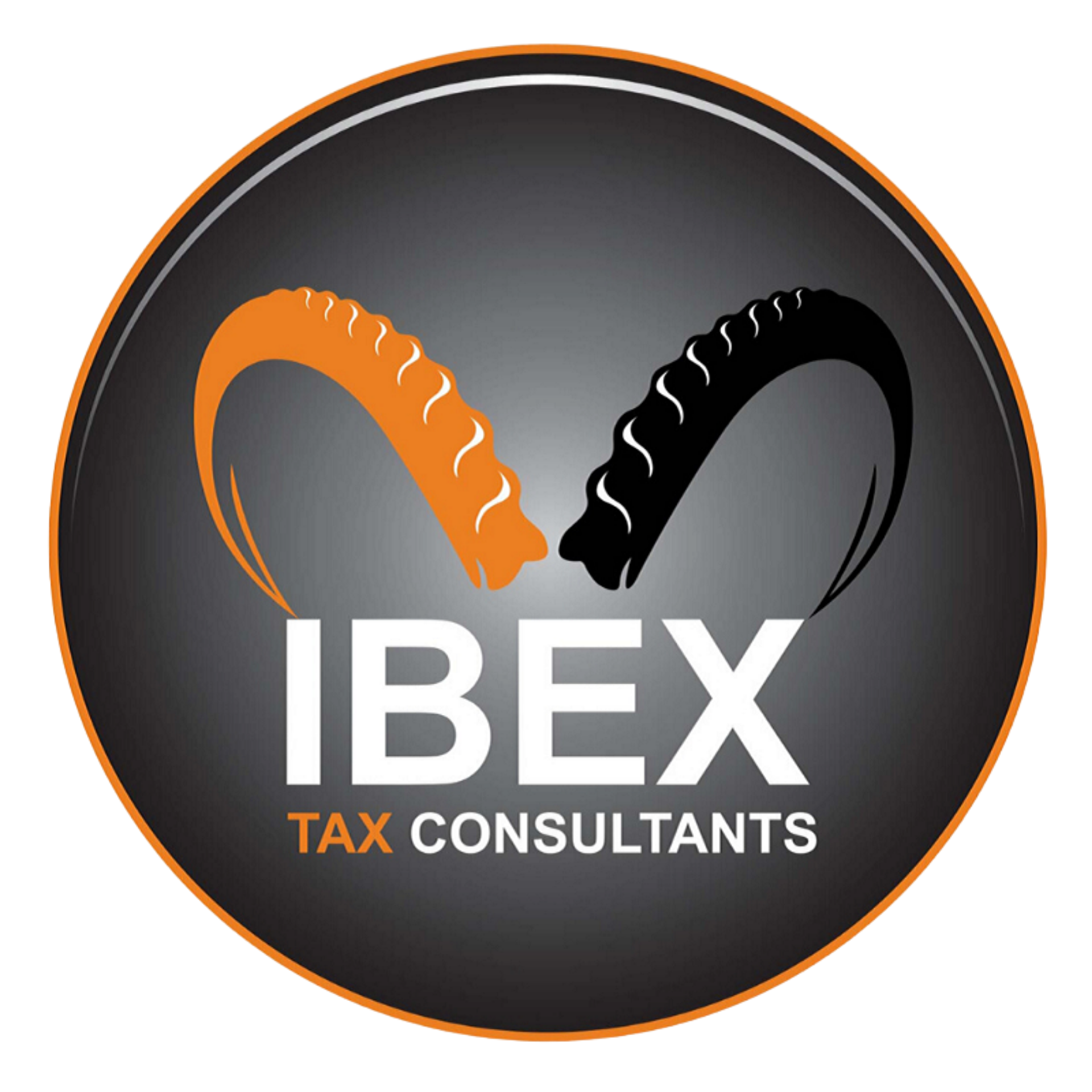 Ibex Tax Consultants